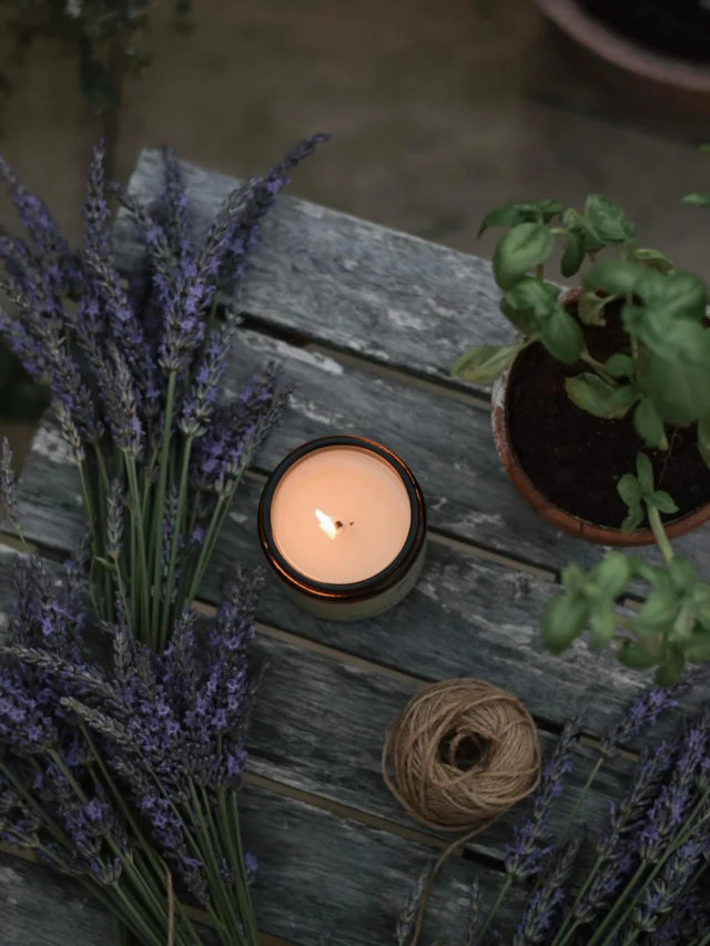 Join Us at Our First Summer Market! 

We’re so excited to be taking part in the Bury St Edmunds Makers Market this Sunday, 6th July – and we’d love for you to come along!

Come and meet us in person, discover our range of natural candles, and take in all the beautiful scents we’ve lovingly created. It’s the perfect chance to experience them up close, have a chat, and support local makers.

📍 Bury St Edmunds Makers Market
📅 Sunday 6th July

We can’t wait to see you there!
#burystedmunds #naturalcandles #makersmarket #home
